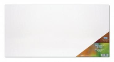 6 Leinwände bespannte Keilrahmen Leinwand 30x60cm